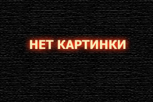 Чем опасны клопы для человека?